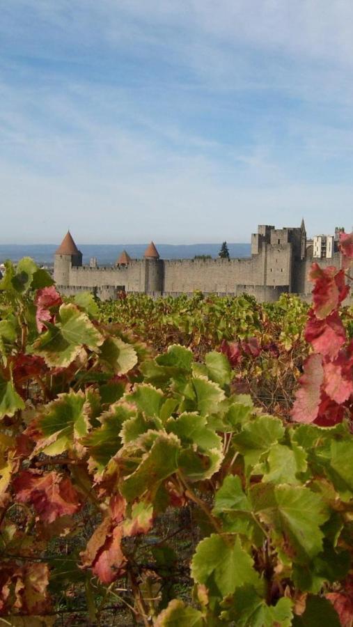 Chez Tatie Menie Bed & Breakfast Fraissé-des-Corbières Dış mekan fotoğraf