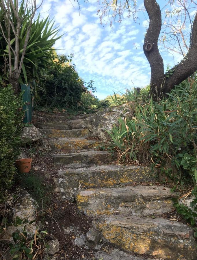 Chez Tatie Menie Bed & Breakfast Fraissé-des-Corbières Dış mekan fotoğraf