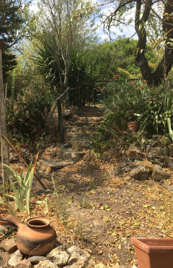 Chez Tatie Menie Bed & Breakfast Fraissé-des-Corbières Dış mekan fotoğraf